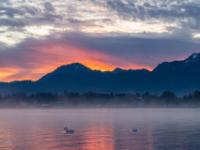 Hochfelln mit glühendem Wolkenschleier darüber am Morgen